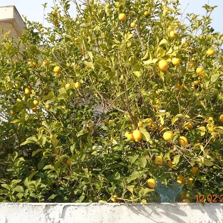 בית נופש Traditional Asimakis