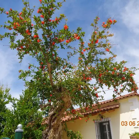 בית נופש Traditional Asimakis Anifion